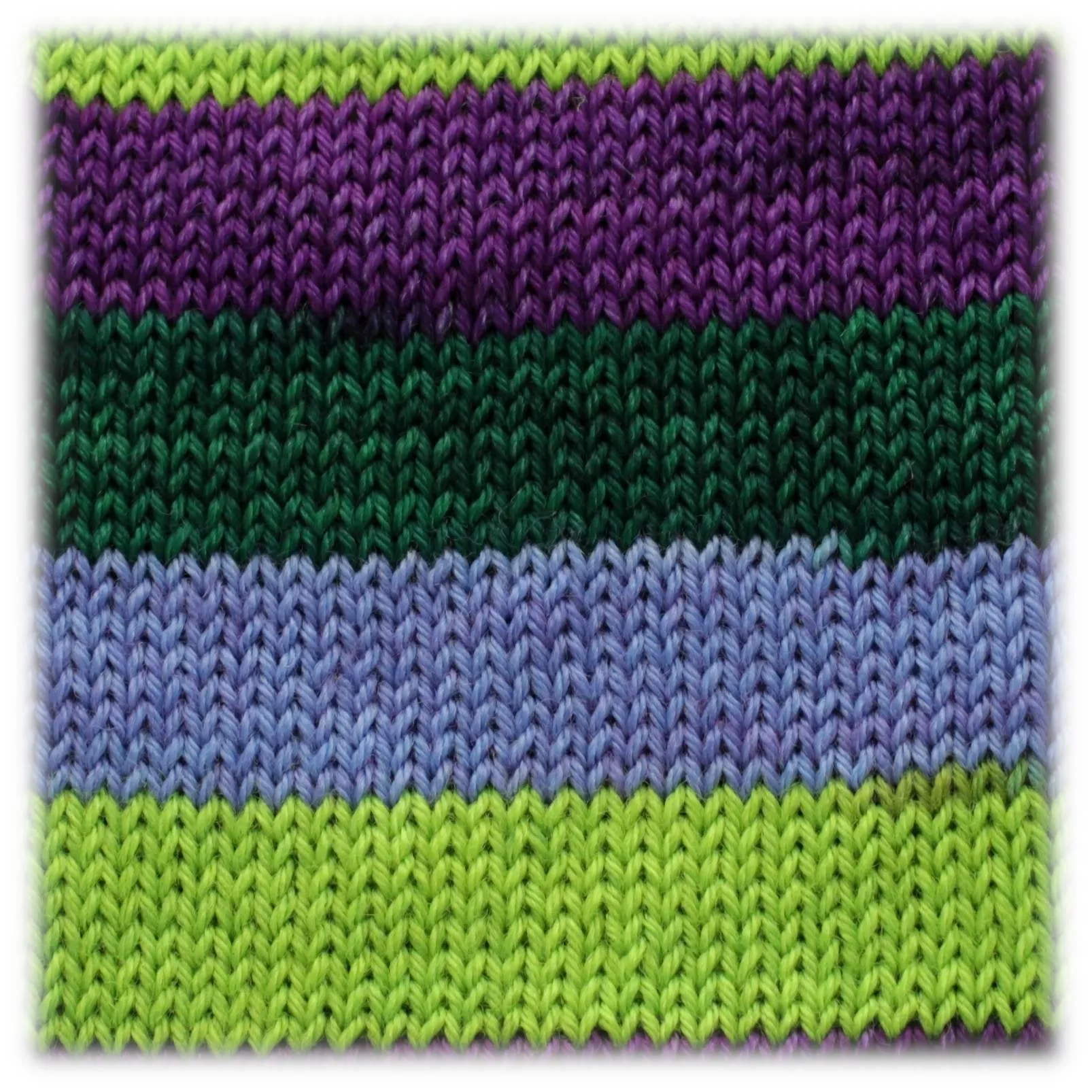 Xylem
