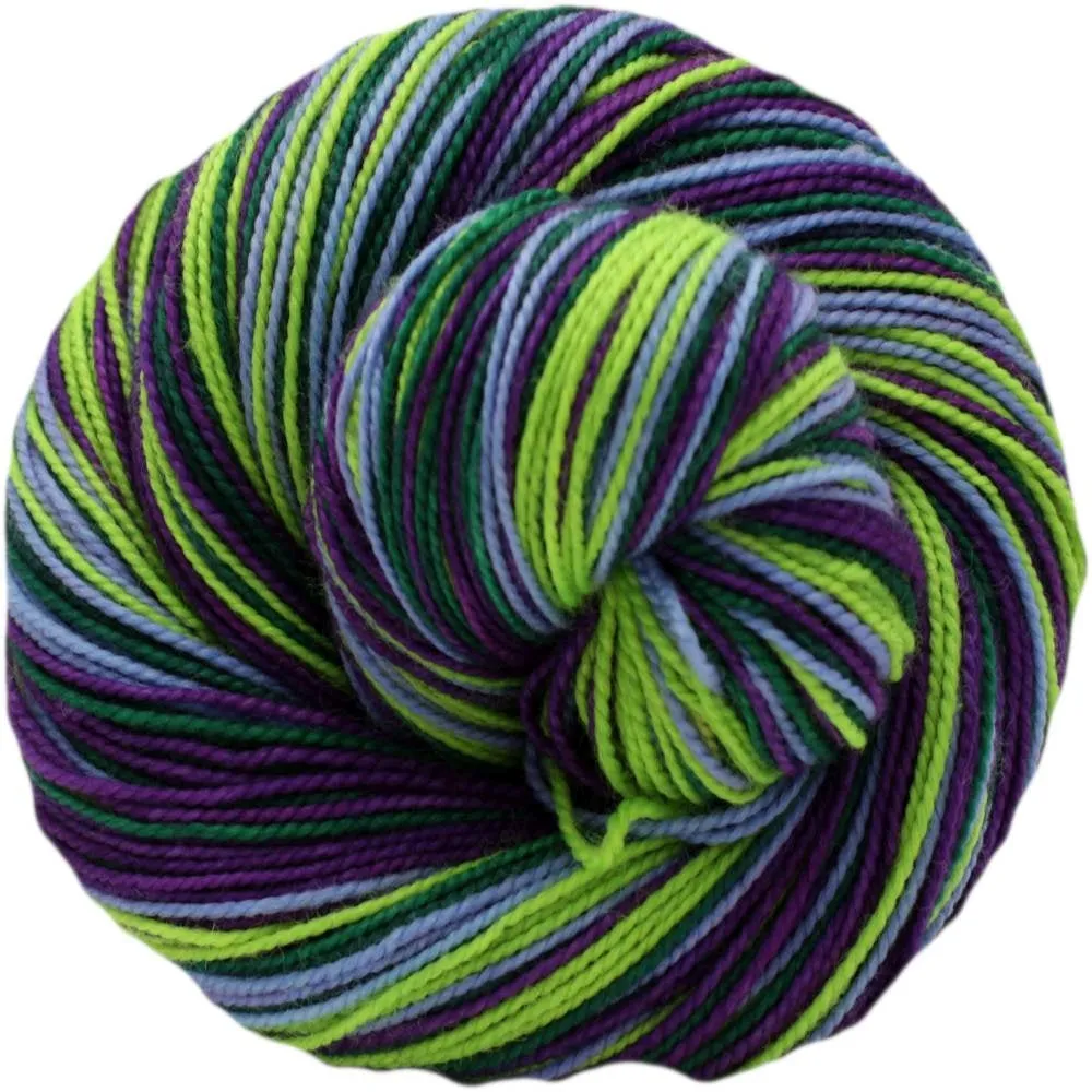 Xylem