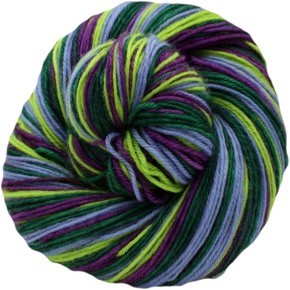 Xylem