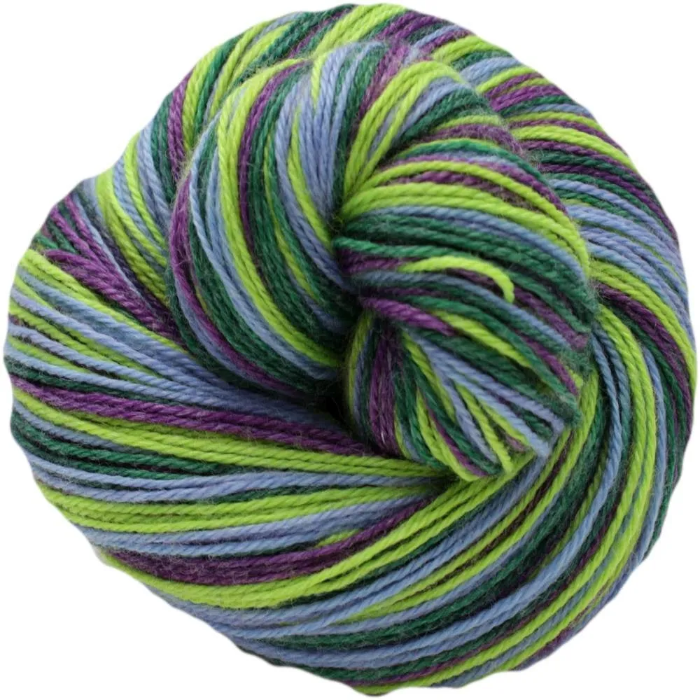 Xylem