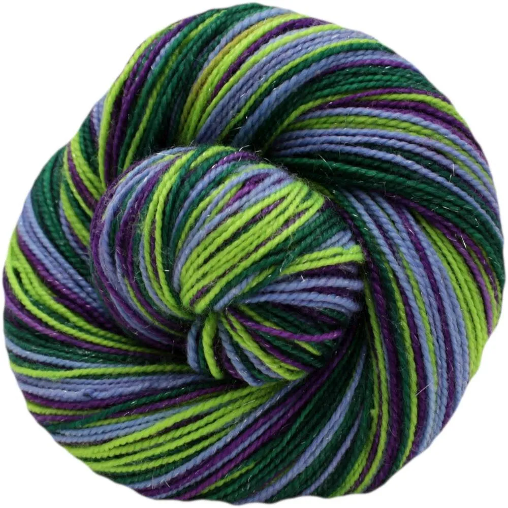Xylem
