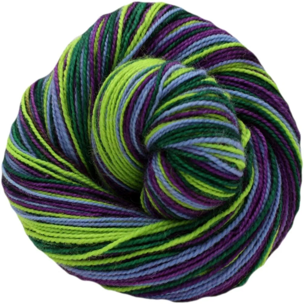 Xylem