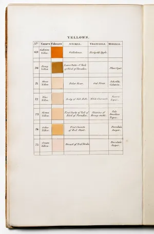 Yellows, 69-75